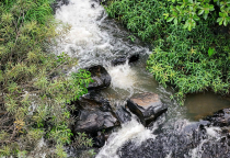 THÁC SÔNG RAY CHÂU ĐỨC: CHIÊM NGƯỠNG VẺ ĐẸP HOANG SƠ VÀ HÙNG VĨ