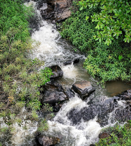 THÁC SÔNG RAY CHÂU ĐỨC: CHIÊM NGƯỠNG VẺ ĐẸP HOANG SƠ VÀ HÙNG VĨ